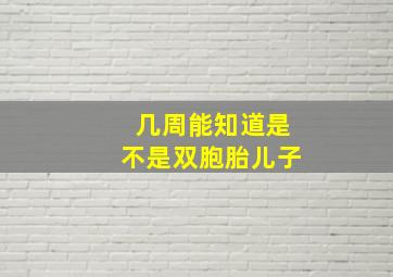 几周能知道是不是双胞胎儿子