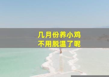 几月份养小鸡不用脱温了呢