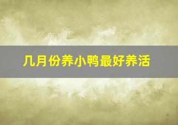 几月份养小鸭最好养活