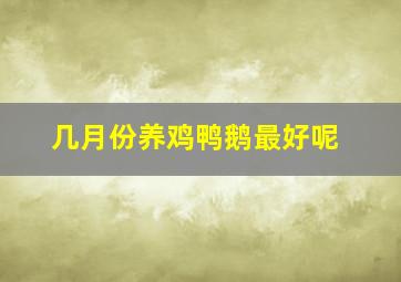 几月份养鸡鸭鹅最好呢