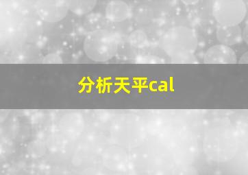 分析天平cal