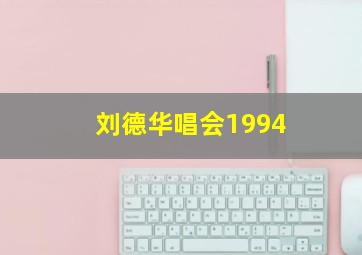 刘德华唱会1994