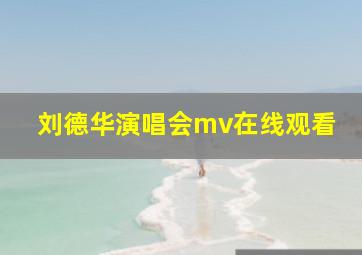 刘德华演唱会mv在线观看