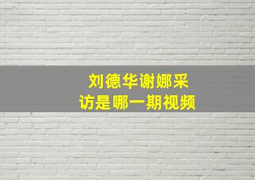 刘德华谢娜采访是哪一期视频