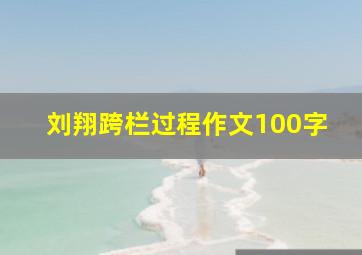 刘翔跨栏过程作文100字