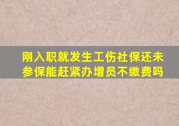 刚入职就发生工伤社保还未参保能赶紧办增员不缴费吗