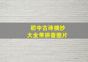 初中古诗摘抄大全带拼音图片