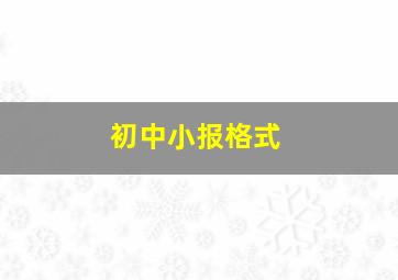 初中小报格式