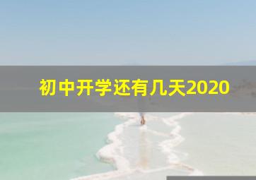 初中开学还有几天2020