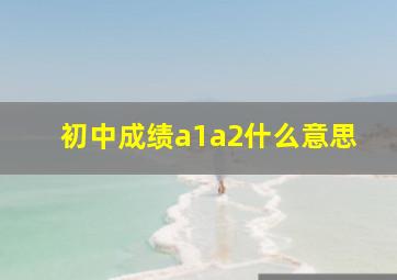 初中成绩a1a2什么意思