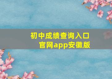 初中成绩查询入口官网app安徽版