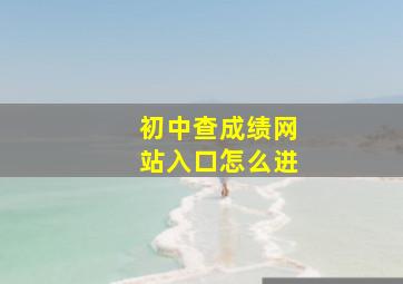 初中查成绩网站入口怎么进