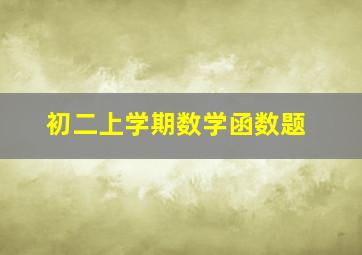 初二上学期数学函数题