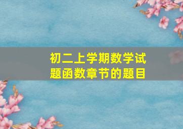 初二上学期数学试题函数章节的题目