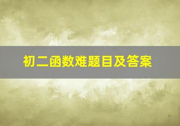 初二函数难题目及答案