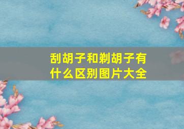 刮胡子和剃胡子有什么区别图片大全