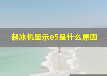 制冰机显示e5是什么原因