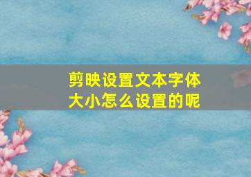 剪映设置文本字体大小怎么设置的呢