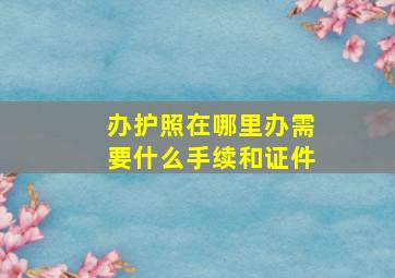 办护照在哪里办需要什么手续和证件