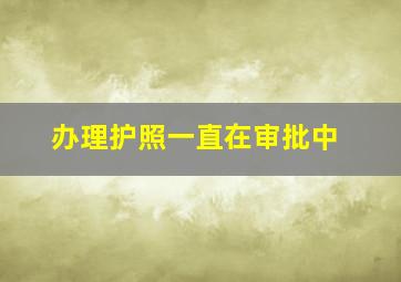 办理护照一直在审批中