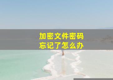 加密文件密码忘记了怎么办