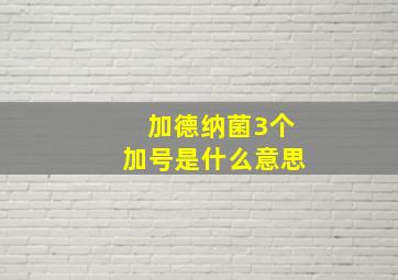 加德纳菌3个加号是什么意思