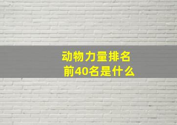 动物力量排名前40名是什么