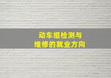 动车组检测与维修的就业方向