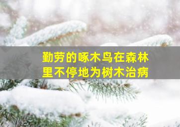 勤劳的啄木鸟在森林里不停地为树木治病