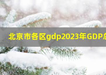 北京市各区gdp2023年GDP总量