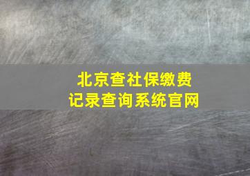 北京查社保缴费记录查询系统官网