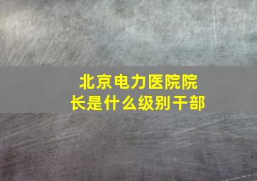 北京电力医院院长是什么级别干部