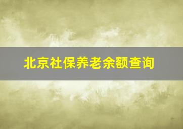 北京社保养老余额查询