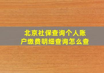 北京社保查询个人账户缴费明细查询怎么查