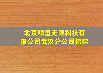 北京鲸鱼无限科技有限公司武汉分公司招聘