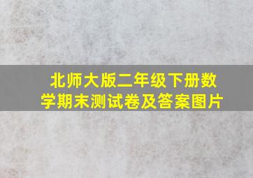 北师大版二年级下册数学期末测试卷及答案图片