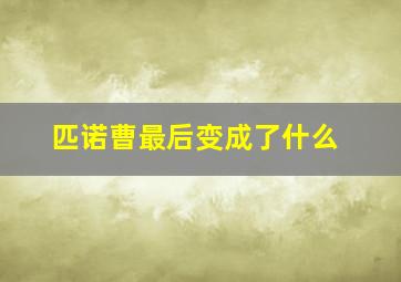 匹诺曹最后变成了什么