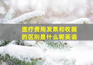 医疗费用发票和收据的区别是什么呢英语