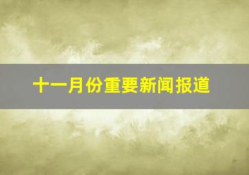 十一月份重要新闻报道