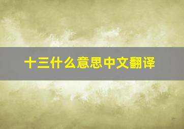 十三什么意思中文翻译