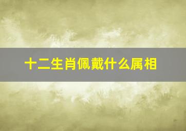 十二生肖佩戴什么属相