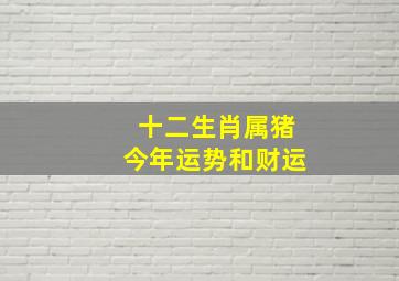 十二生肖属猪今年运势和财运