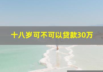 十八岁可不可以贷款30万