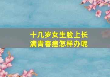 十几岁女生脸上长满青春痘怎样办呢