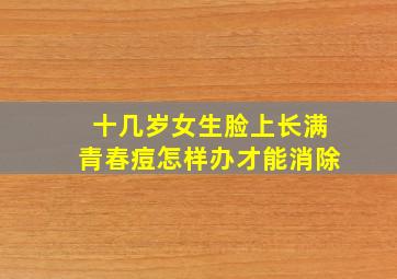 十几岁女生脸上长满青春痘怎样办才能消除