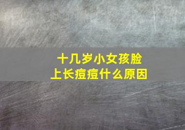 十几岁小女孩脸上长痘痘什么原因