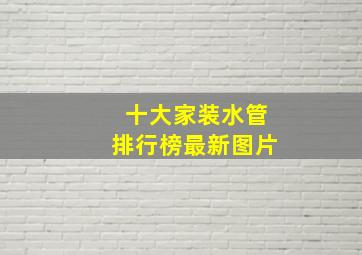 十大家装水管排行榜最新图片