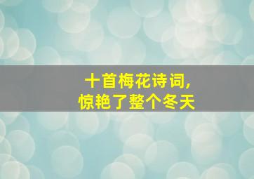 十首梅花诗词,惊艳了整个冬天