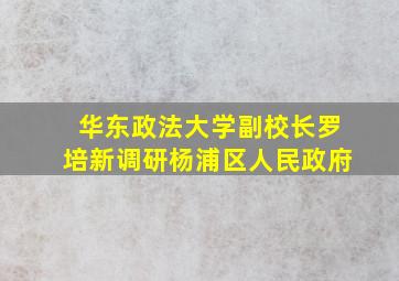 华东政法大学副校长罗培新调研杨浦区人民政府