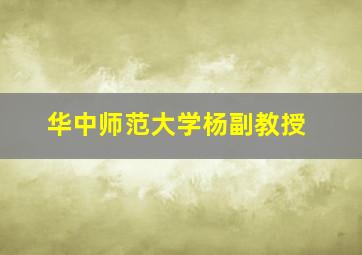 华中师范大学杨副教授